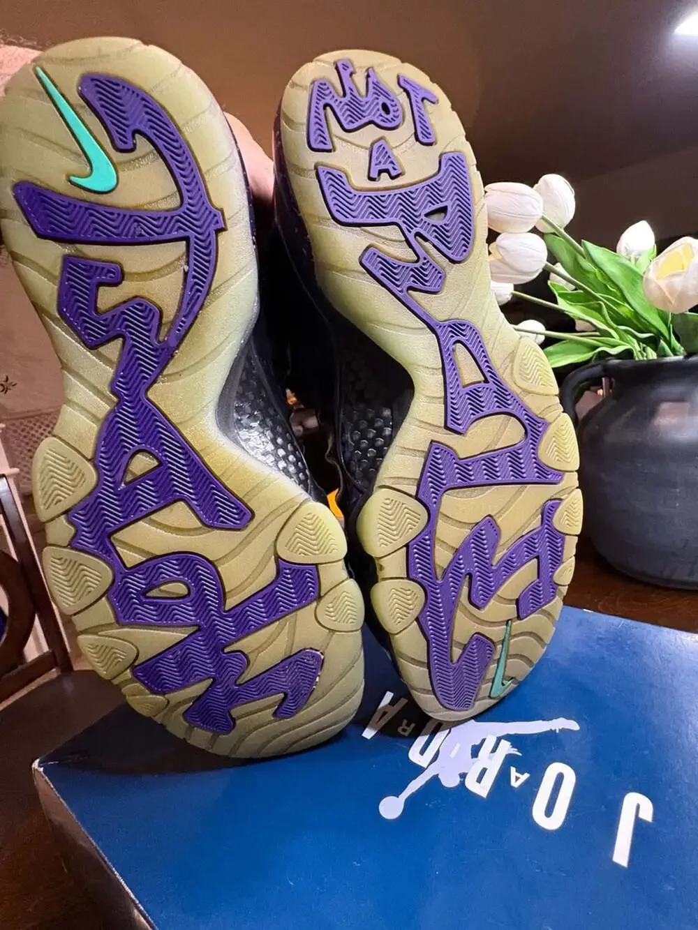 Nike Air Barkley Posite Max Eggplant Chameleon 555097-003